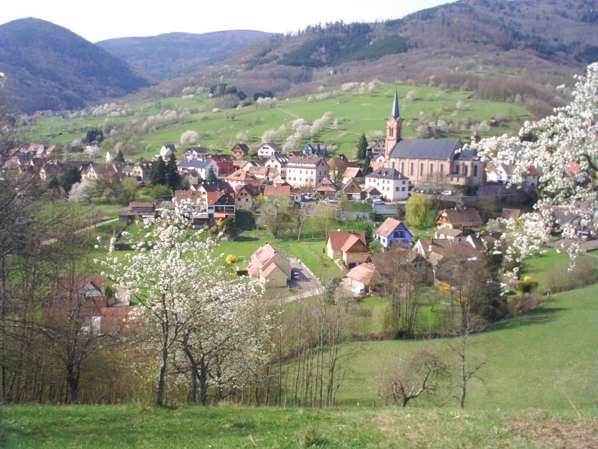 Gite Bellevue Breitenbach Екстериор снимка