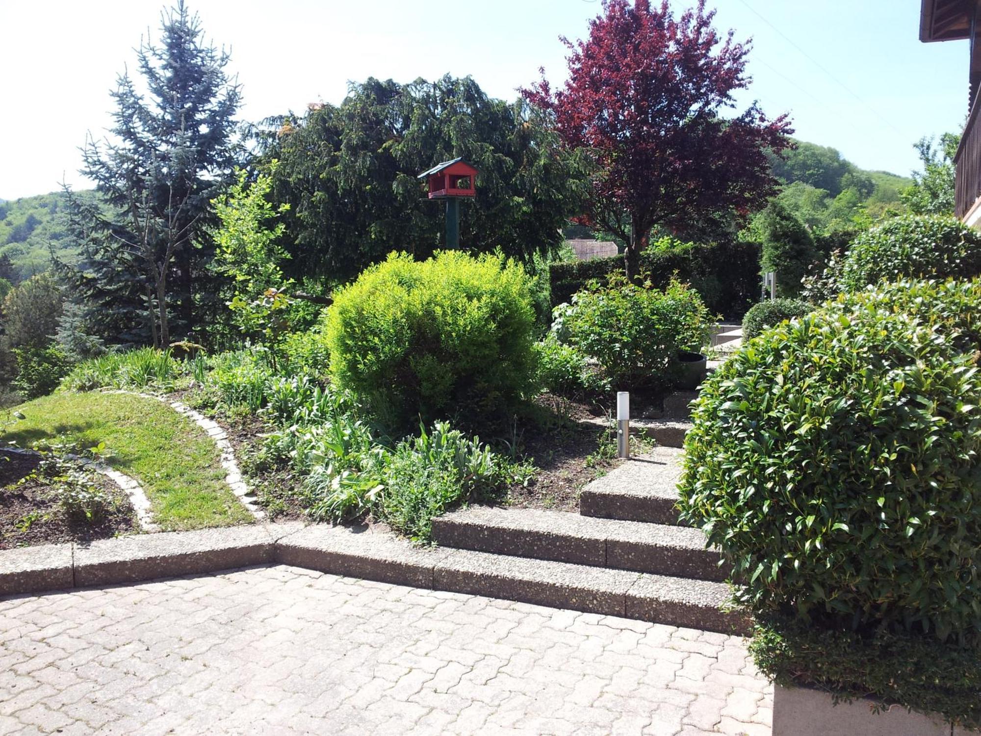 Gite Bellevue Breitenbach Екстериор снимка
