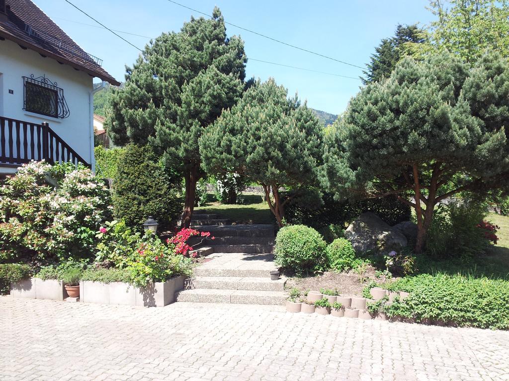 Gite Bellevue Breitenbach Екстериор снимка